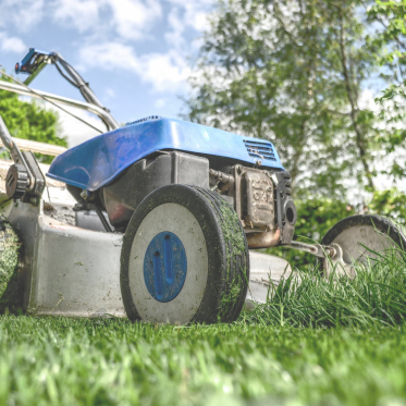 Garden maintenance